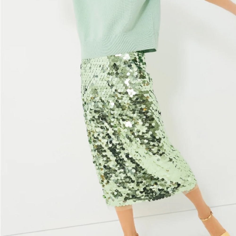 Tuckernuck Mint Chip Remmi Midi Skirt, size S, Brand new, never worn.